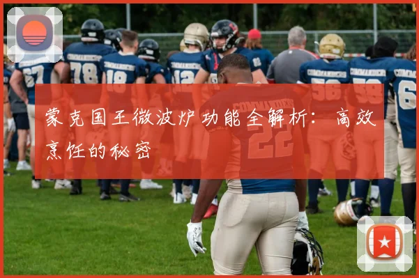 蒙克国王微波炉功能全解析：高效烹饪的秘密