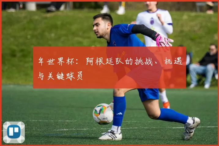 年世界杯：阿根廷队的挑战、机遇与关键球员