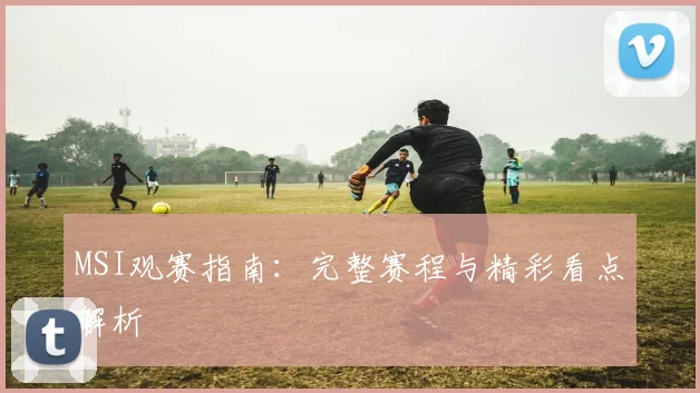 MSI观赛指南:完整赛程与精彩看点解析