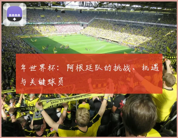 年世界杯：阿根廷队的挑战、机遇与关键球员