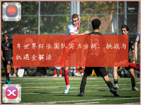 年世界杯法国队实力分析：挑战与机遇全解读